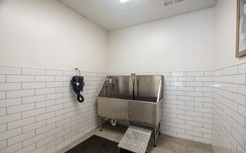 Dog wash
